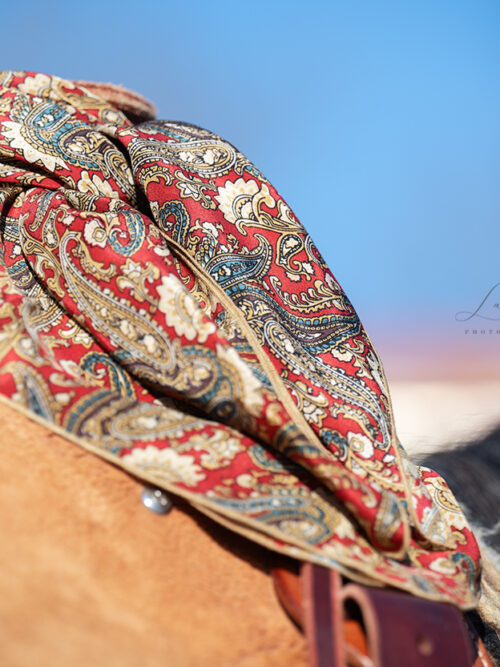 Halstuch / Wild Rag - Red Paisley