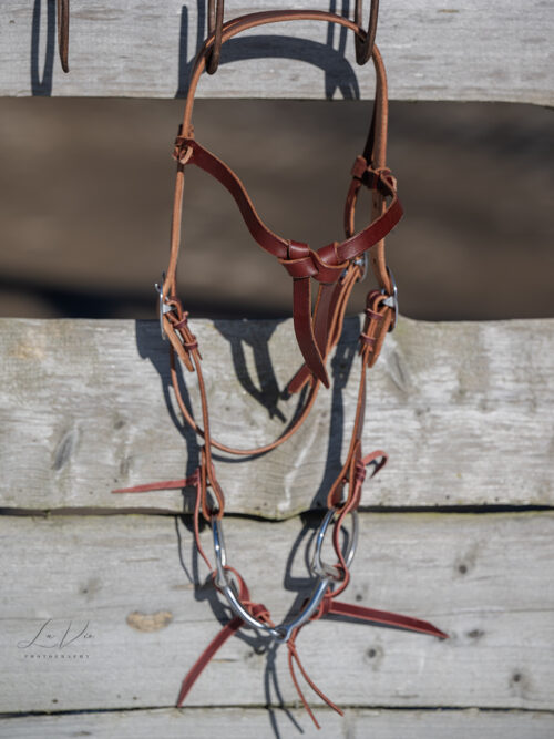 7P-Cowboy Bridle Set  / Kopfstück (Avarage) beidseitig verstellbar, dunkles Leder + Gebiss 12,5 cm + Kinnriemen